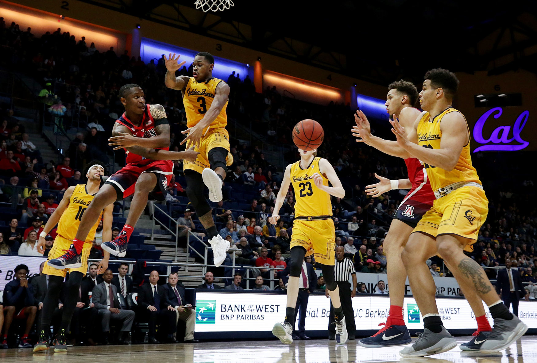 Arizona Wildcats vs. Cal Golden Bears men's college basketball